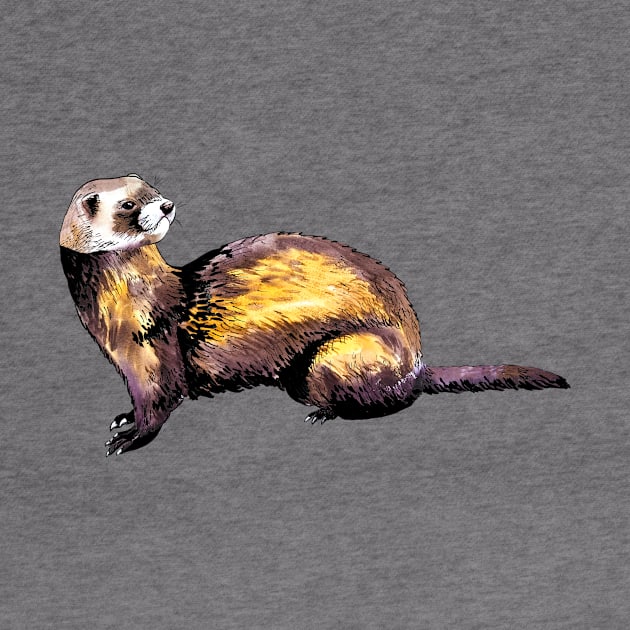 ferret by VicaVeresk